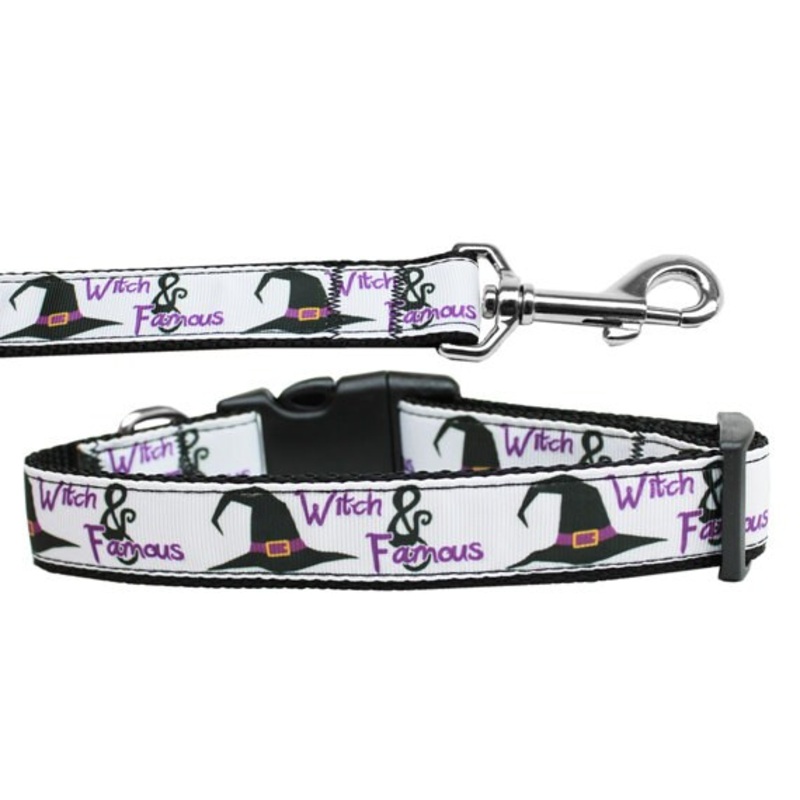 Halloween Pet Dog & Cat Nylon Collar or Leash, "Witch and Famous"