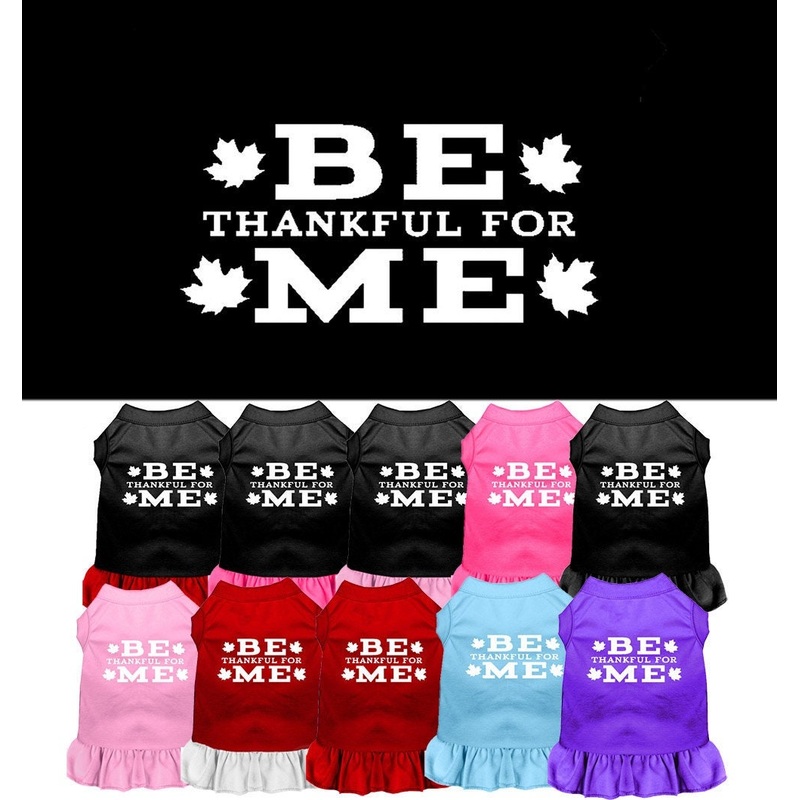 Pet Dog & Cat Dress Screen Printed, "Be Thankful For Me"